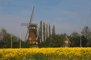 Acht Boschdijk Fotoalbum